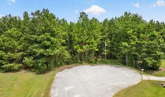Farmingdon Drive, Adel, GA 31620