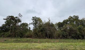 6005 Miltie St, Albany, GA 31705