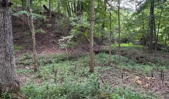 tbd N 225 E Road, Attica, IN 47918