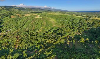 6565- C KOOLAU Rd, Anahola, HI 96746