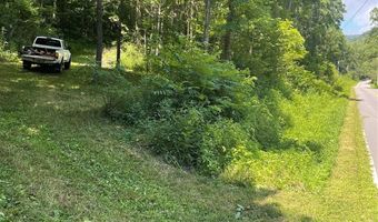 Martins Creek Road, Barnardsville, NC 28709