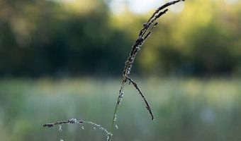 501 Caldwell Rd, Blacksburg, SC 29702