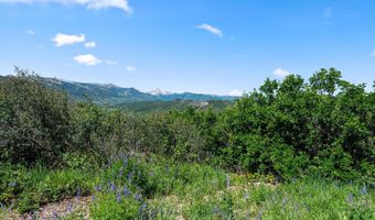 Trentaz Drive, Aspen, CO 81611