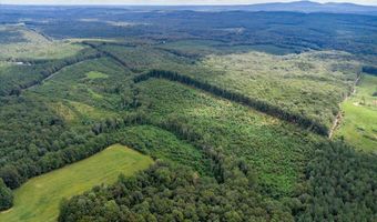 62- Acres Grandmas Hill Rd, Amherst, VA 24521
