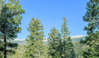 71 Forgotten Trl, Amalia, NM 87512