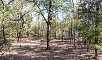 4700 County Road 340, Bell, FL 32619