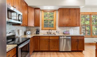 50 COONEY Ct, Blue River, CO 80424