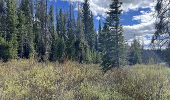 Tbd Nwne DEER HAVEN Road, Bondurant, WY 82922