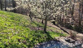 3416 Saint Andrews Dr, Baneberry, TN 37890