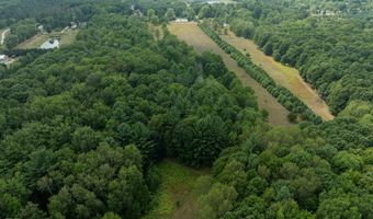 39 Acres N Pingree Rd, Alma, MI 48801