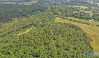 1228 Matt Morrow Rd, Arab, AL 35016