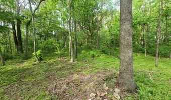 748 Puckett Rd, Anderson, MO 64831