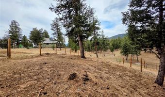 64 Elk Horn Ct, Bailey, CO 80421