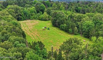 Vine Drive, Brandon, MS 39047