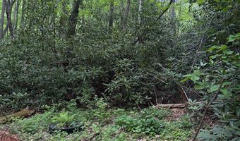 Warrior Way lot 9 & 17, Andrews, NC 28901