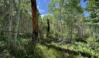 CR 501, Bayfield, CO 81122