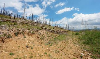 30 Sheep Horn Ct, Bellvue, CO 80512