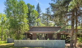 820 Twining Flats Rd, Aspen, CO 81611