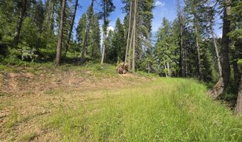 480 Dunn Peak Rd, Avery, ID 83802