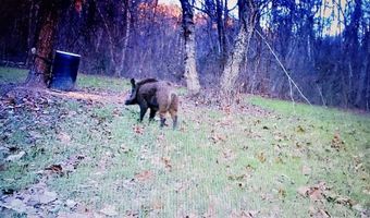 Reeves Road, Ashland, MS 38603
