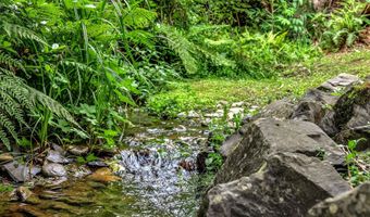 80358 BIG CEDAR Dr, Arch Cape, OR 97102
