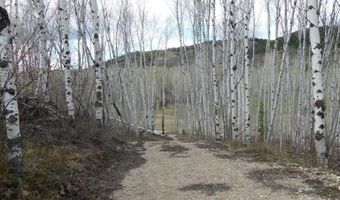 4051 Golden Stone Ln, Ashton, ID 83420