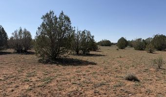 W26 Prairie Dog Road, Ash Fork, AZ 86320