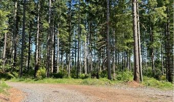Tunnel Tract Parcel2, Banks, OR 97106