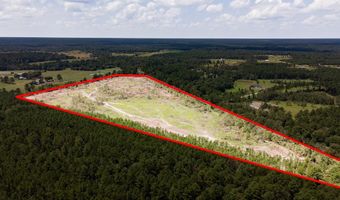 R53358 Tract 3 HWY 94, Apple Springs, TX 75926
