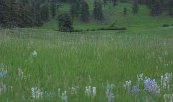 14884 Rist Canyon Rd, Bellvue, CO 80512