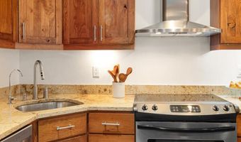 725 E Main St 309, Aspen, CO 81611