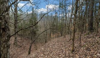 Smithtown Road, Afton, TN 37616