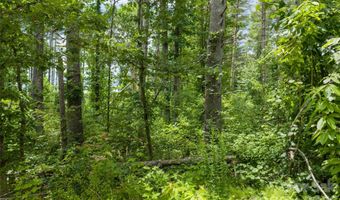 4 Dunnwoody Dr, Arden, NC 28704