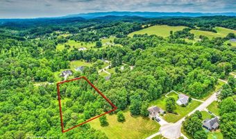 Stone Ridge Drive, Andersonville, TN 37705