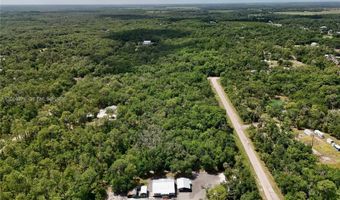 SW Gator Trl, Arcadia, FL 34266