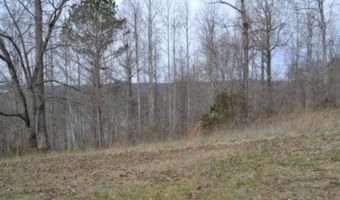 Fox Hill Road lot 4 & 5, Baxter, TN 38544