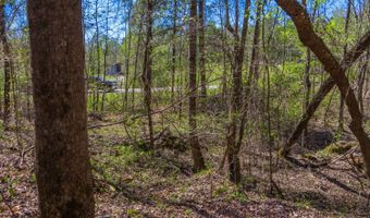 5508 Sealy Ann Mountain Rd, Adger, AL 35006
