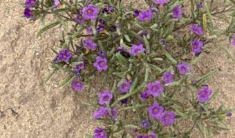 970 Valley Vista Dr, Anthony, NM 88021