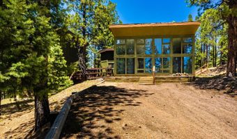 253 Saladon Rd, Angel Fire, NM 87710