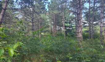 Lot 113 Beaver Lane, Arkdale, WI 54613