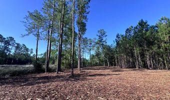 Jarvis Landing Road, Aurora, NC 27806
