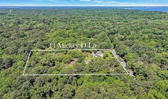 14 Mickey D Ln, Beaufort, SC 29907