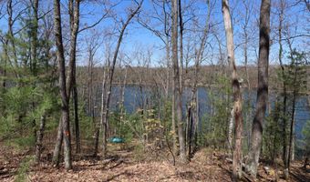 Lot WITCHES LAKE RD, Arbor Vitae, WI 54568