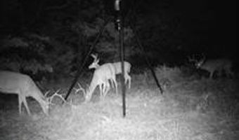 0000 N 145 Rd, Beggs, OK 74421