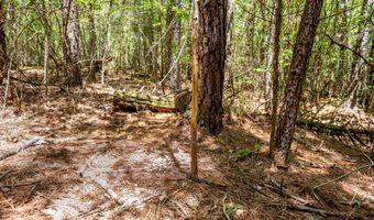 23680 Highway 58, Baskerville, VA 23915