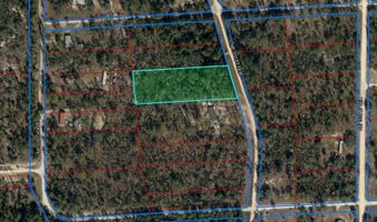 11730 NE 101ST Ter, Archer, FL 32618