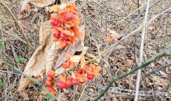 4775 S 50th Rd, Aldrich, MO 65601