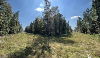 0 John S Horton, Adrian, GA 31002