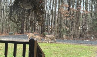 979 BARNEY JENKINS Rd, Felton, DE 19943