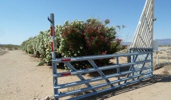 9860 S US HWY 95, Cal Nev Ari, NV 89039